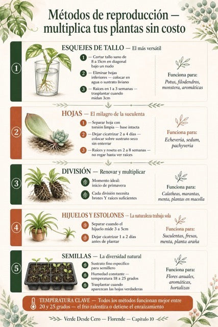 Página de Verde Desde Cero