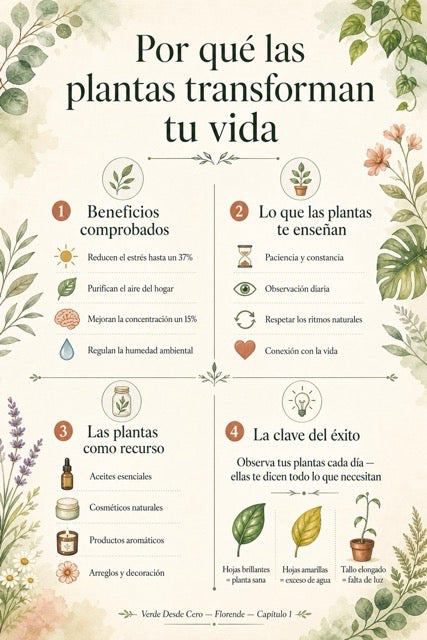 Página de Verde Desde Cero