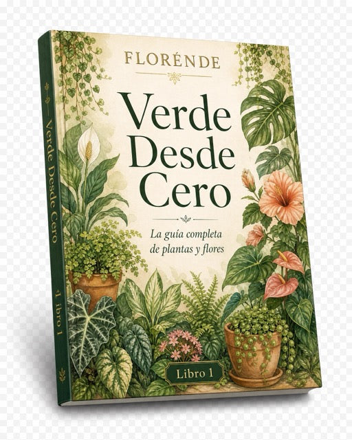 Verde Desde Cero